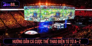 Thể Thao Bin88 – Đặt Kèo Ngay Hôm Nay, Săn Thưởng Lớn - AZIVO