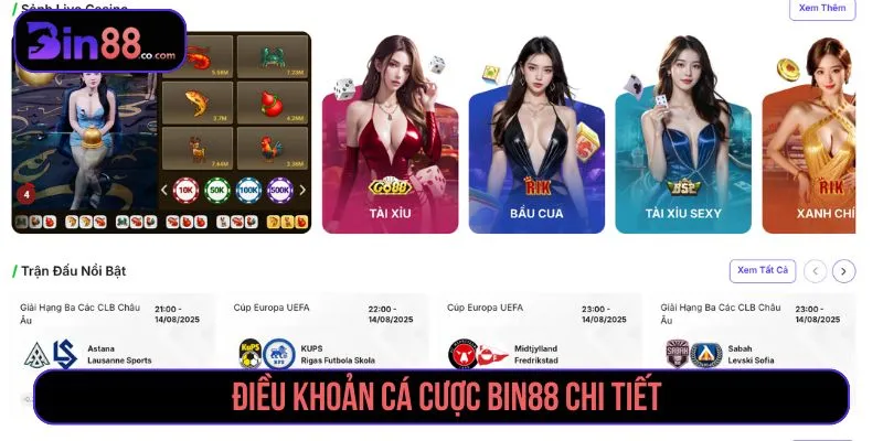 Điều Khoản Cá Cược BIN88 - Quy Định Tài Khoản, Kèo & Giao Dịch - AZIVO