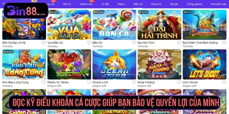 Điều Khoản Cá Cược BIN88 - Quy Định Tài Khoản, Kèo & Giao Dịch - AZIVO