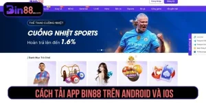 Hướng Dẫn Bin88 Chi Tiết – Đăng Ký, Nạp Rút, Tải App Nhanh - AZIVO