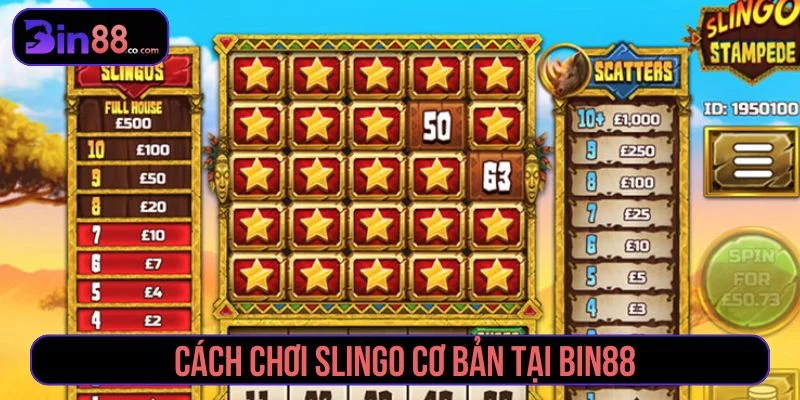 Slingo - Cách Chơi, Biểu Tượng Đặc Biệt Và Quản Lý Xu - AZIVO