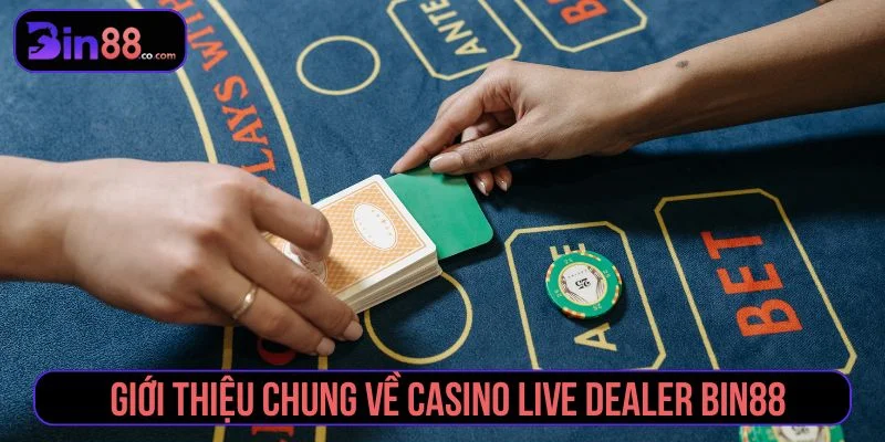 Casino Live Dealer - Cách Chơi, Trò Phổ Biến Và Lưu Ý - AZIVO