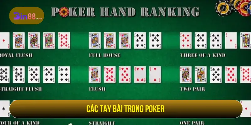 V8 Poker - Luật Chơi, Thứ Hạng Bài Và Lưu Ý Khi Vào Bàn - AZIVO