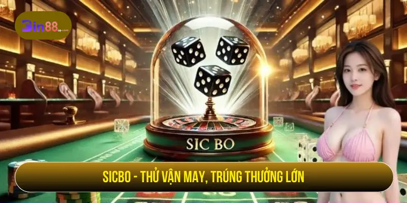 Venus Casino - Trò Chơi, Live Dealer Và Lưu Ý Khi Chơi - AZIVO