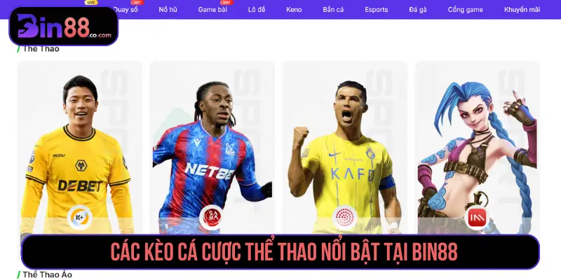 Các Kèo Cá Cược Thể Thao - Cách Đọc Handicap, 1x2 Và Tài Xỉu - AZIVO