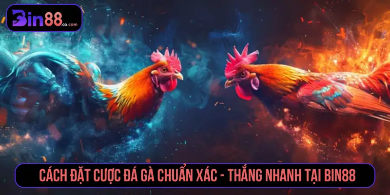 Cách Đặt Cược Đá Gà - Đọc Kèo Meron, Wala Và BDD - AZIVO