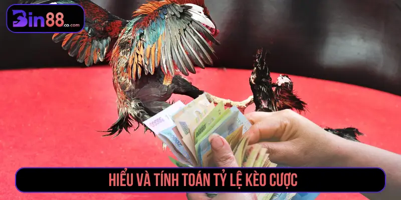 Cách Đặt Cược Đá Gà - Đọc Kèo Meron, Wala Và BDD - AZIVO
