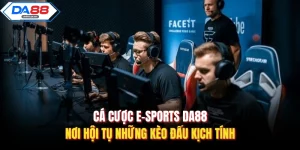 Thể Thao Da88 – Nơi Cảm Xúc Thăng Hoa Cùng Trái Bóng - AZIVO
